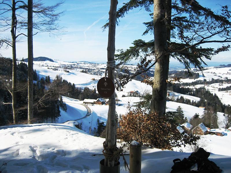 2010 02 21 A